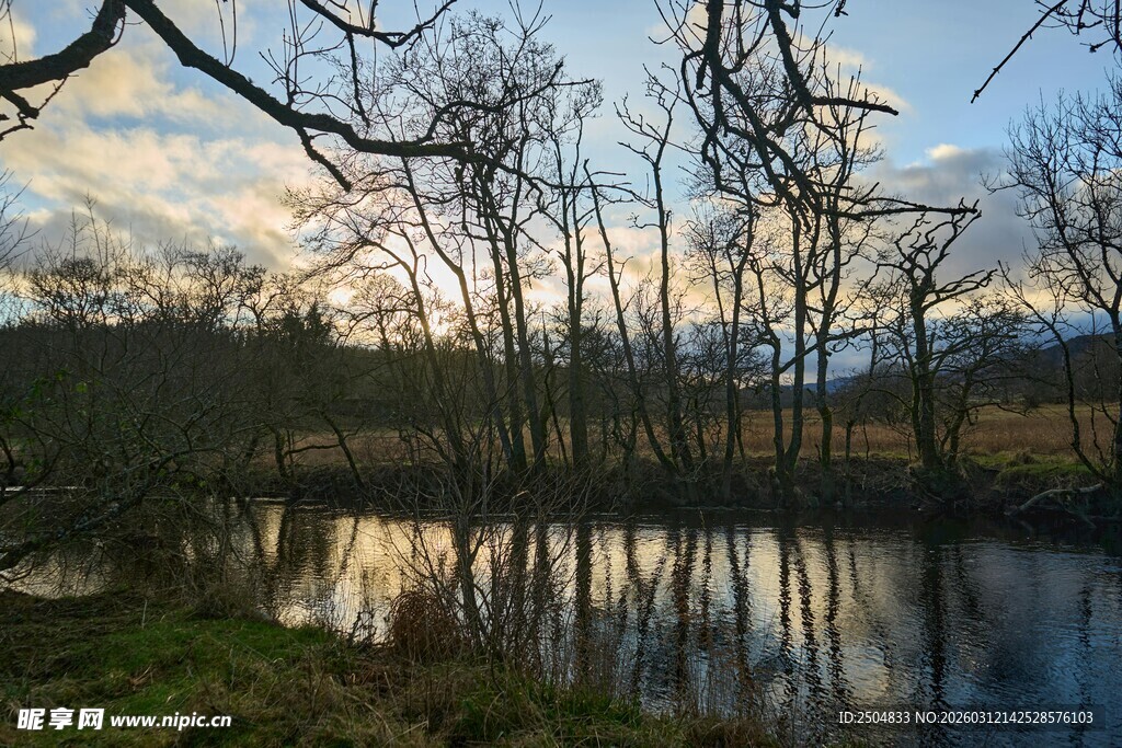 湖畔枯树与美丽天空倒影