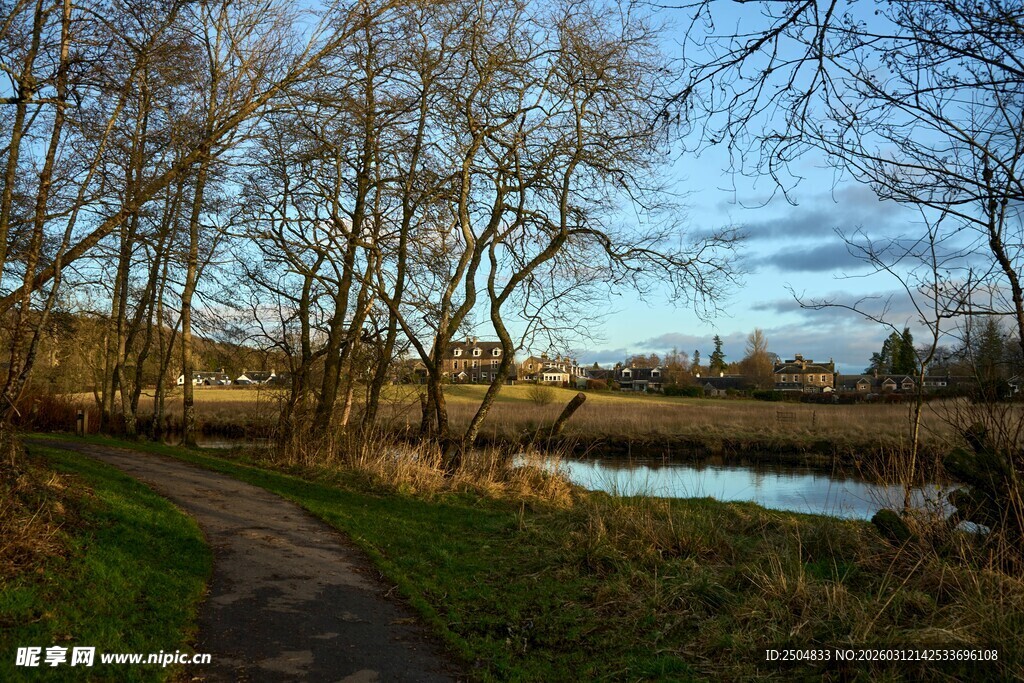 林间小径旁的静谧小湖