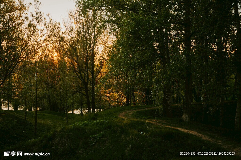 黄昏下的林间小道