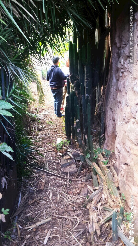 人在林间小径徒步