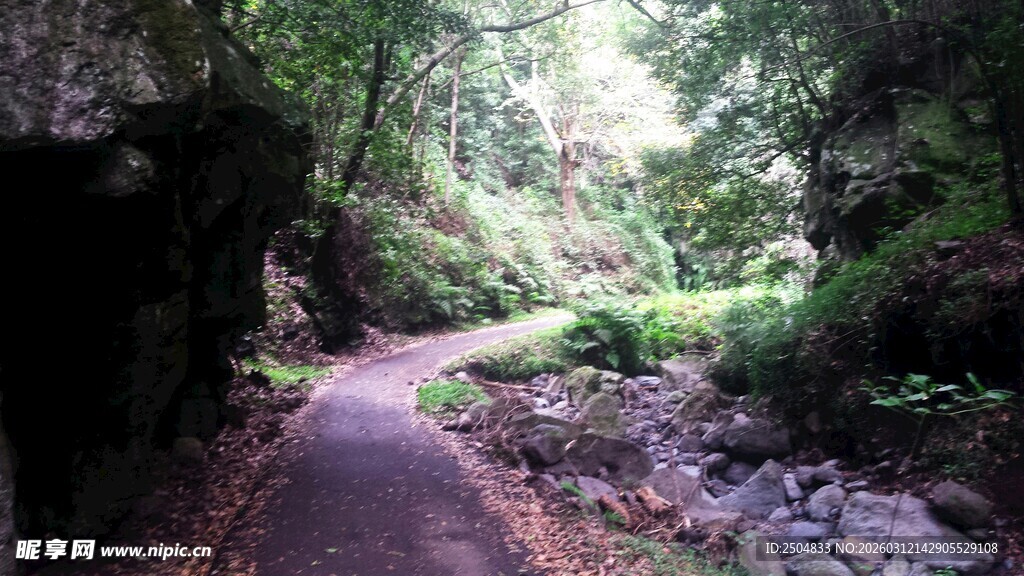 山间幽径 绿意盎然