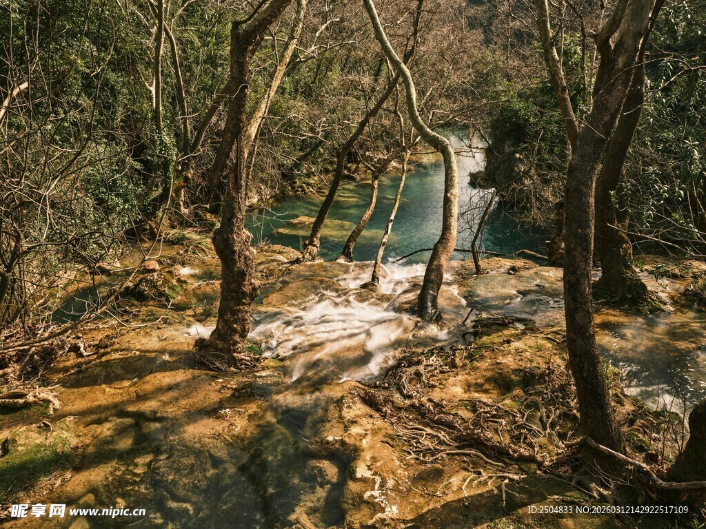 林 间静小屋 自然之景