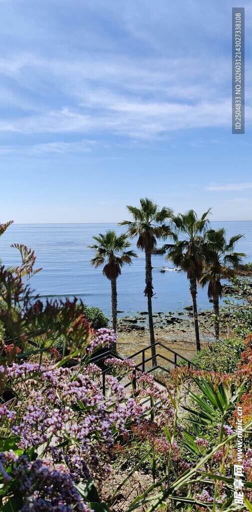 海边烂漫花丛与棕榈树