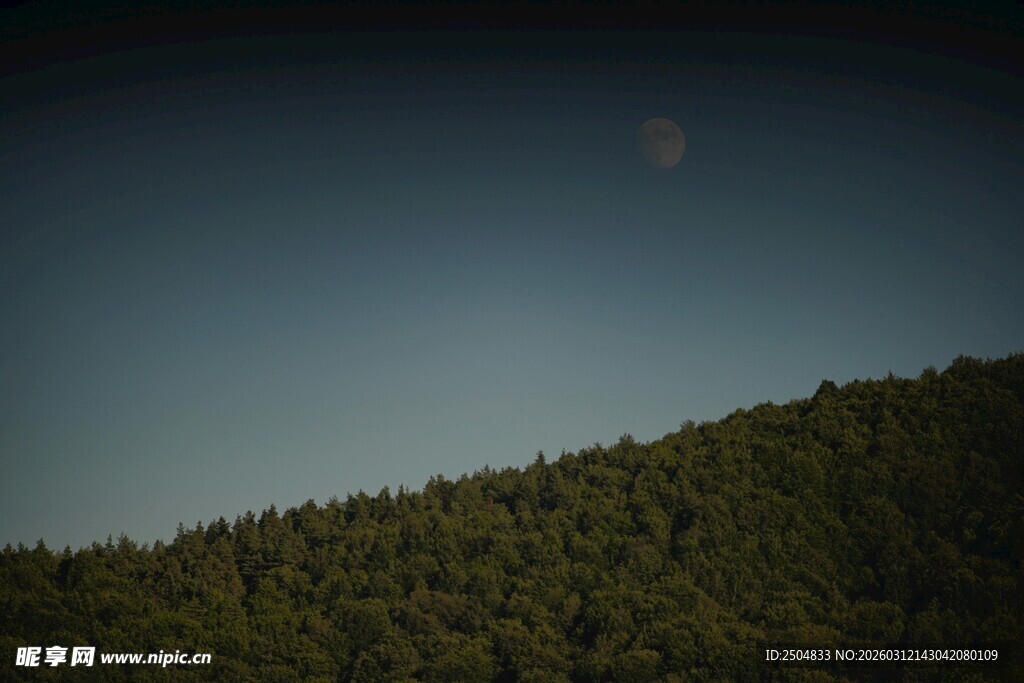月夜下的山林景色