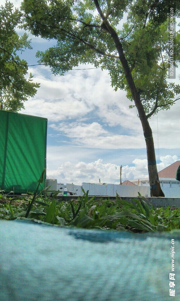 户外泳池旁的绿树与建筑