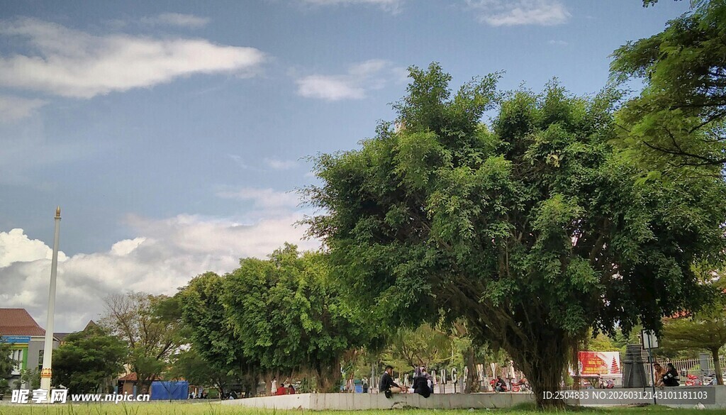 绿树成荫的户外风景