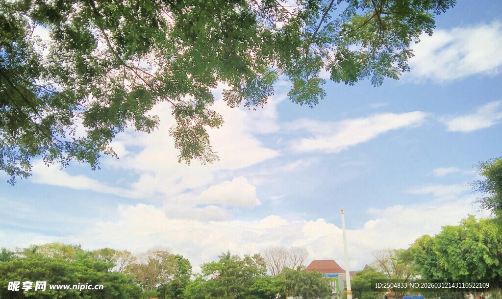 夏日绿树蓝天美好景致