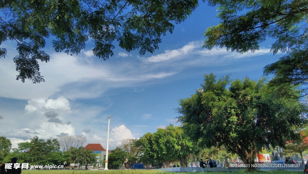 公园绿树蓝天美景