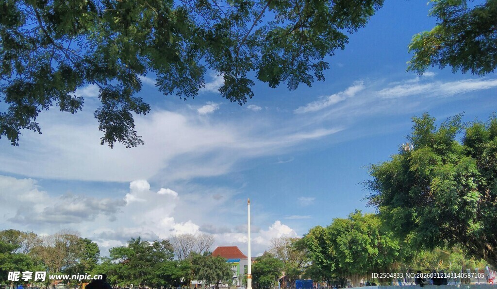 蓝天绿树间的清新景致