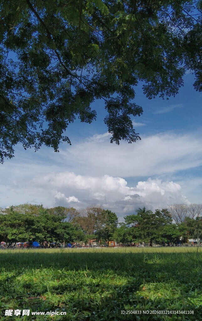 绿意盎然的户外风景