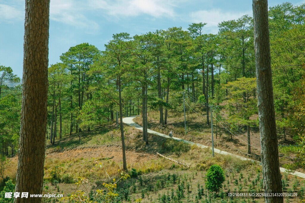 林间小径 畅享自然之美