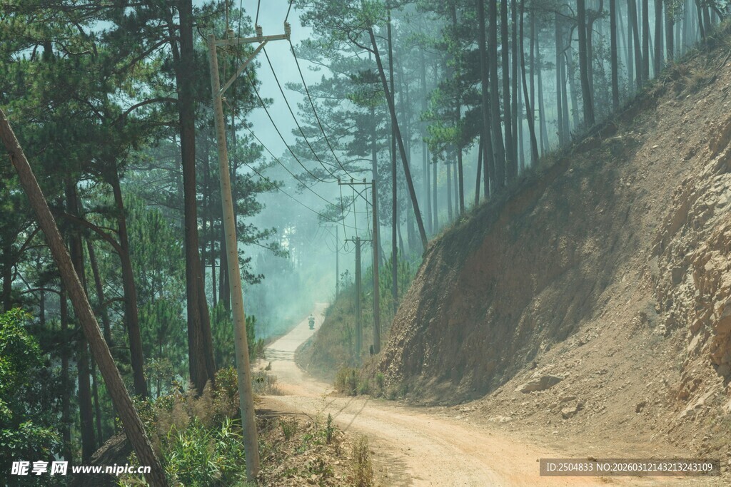 山间土路 幽林环绕之景