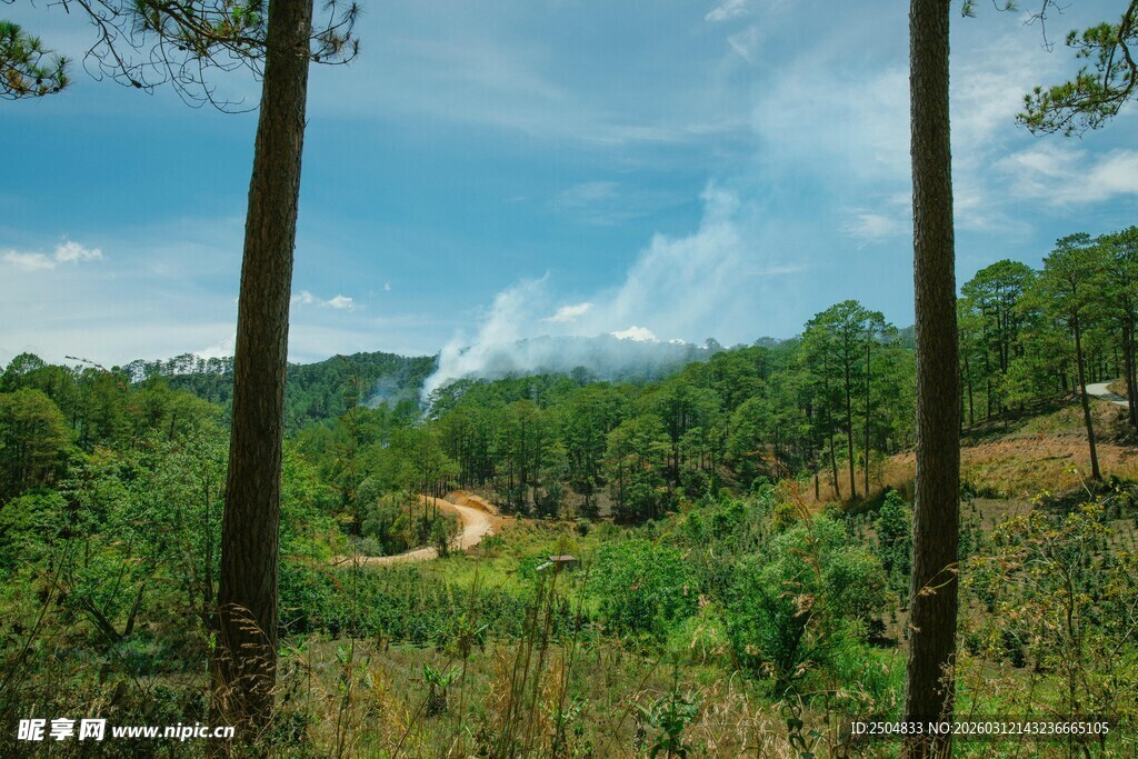 山林间的清新自然景致
