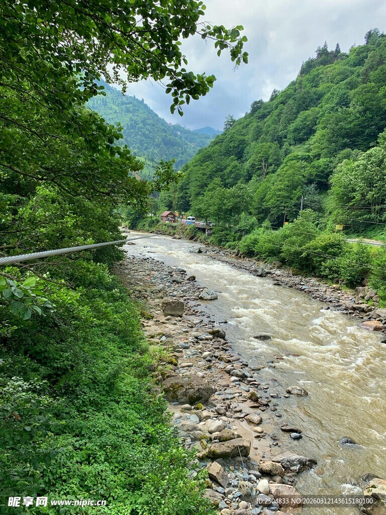 山间溪流蜿蜒于葱郁山林