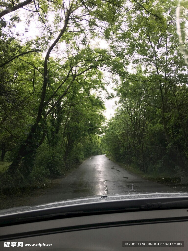 车内视角的林间湿滑道路