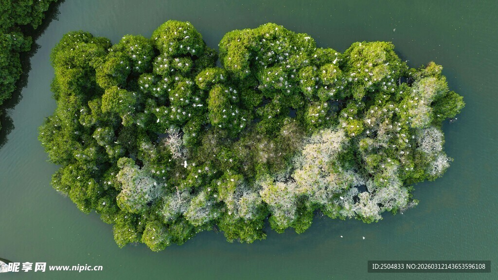 湖中小岛绿意盎然
