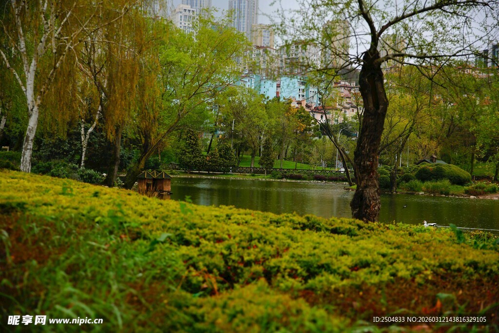 春日河畔绿意盎然风景图
