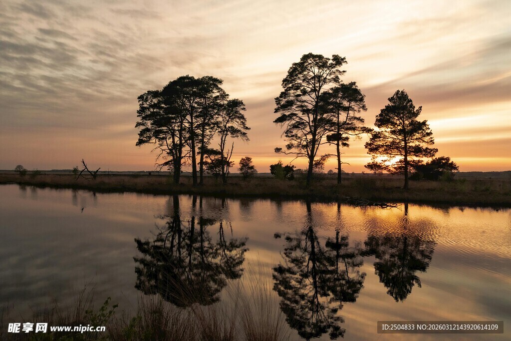 湖畔夕阳下的树木倒影