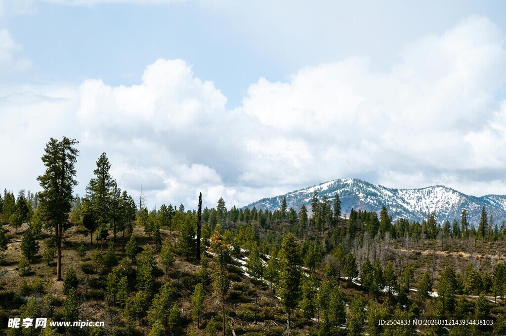 山林雪景 自然清新之景