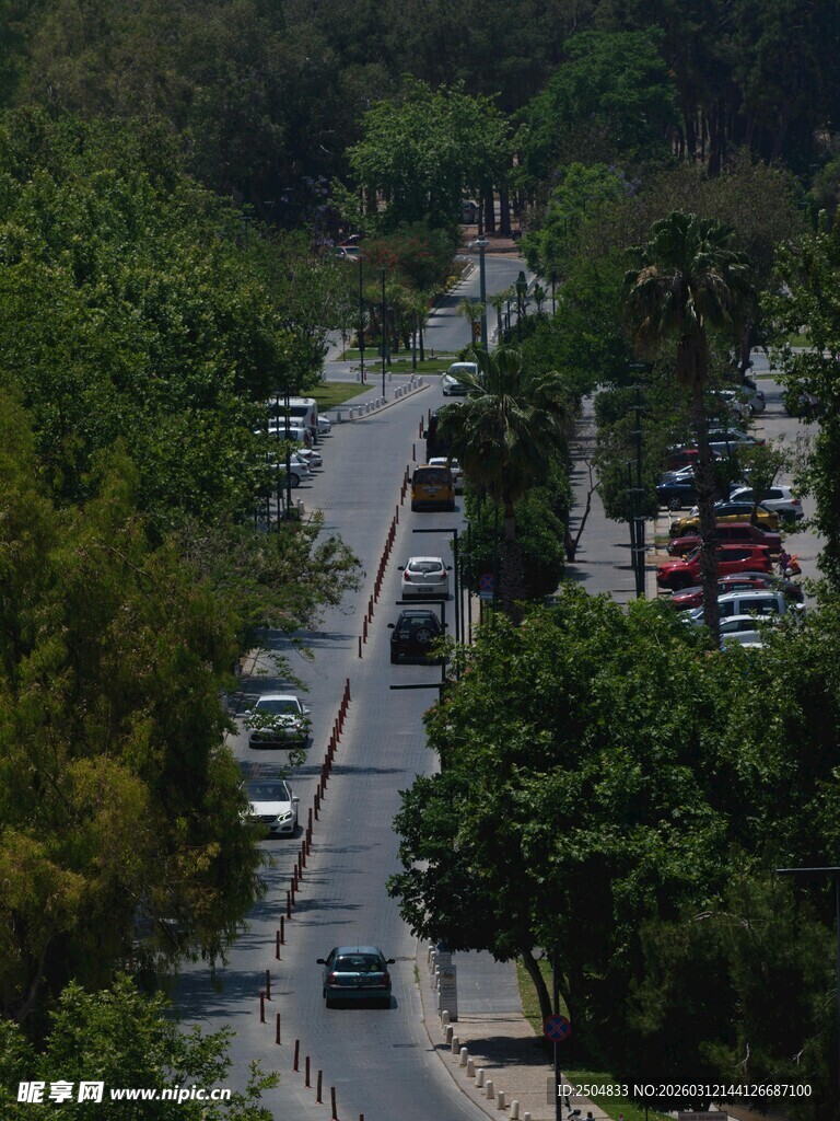 绿树环绕的城市停车街道