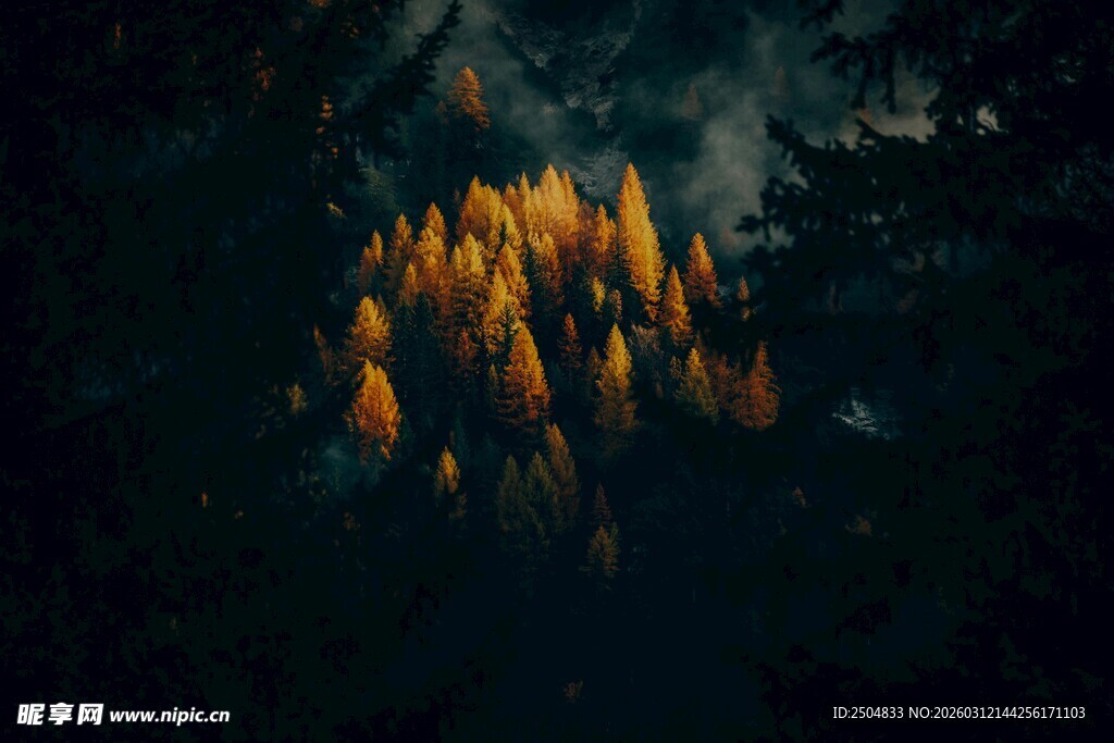 黑暗中闪耀的金色吊灯