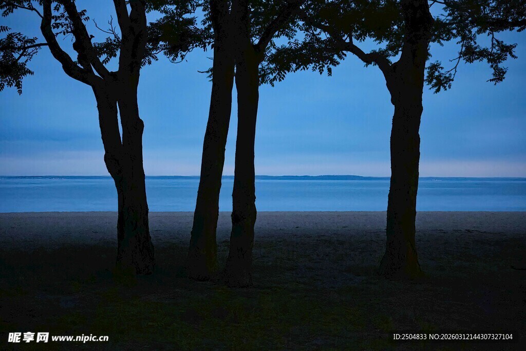 黄昏海边树木静谧景象