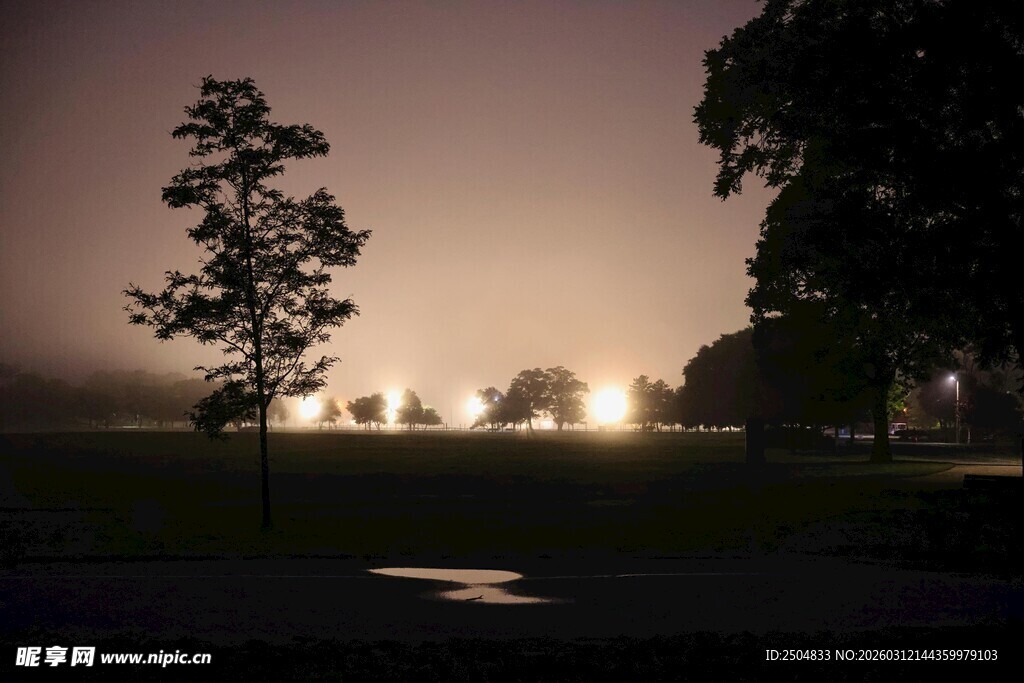 夜幕下的静谧田野风光