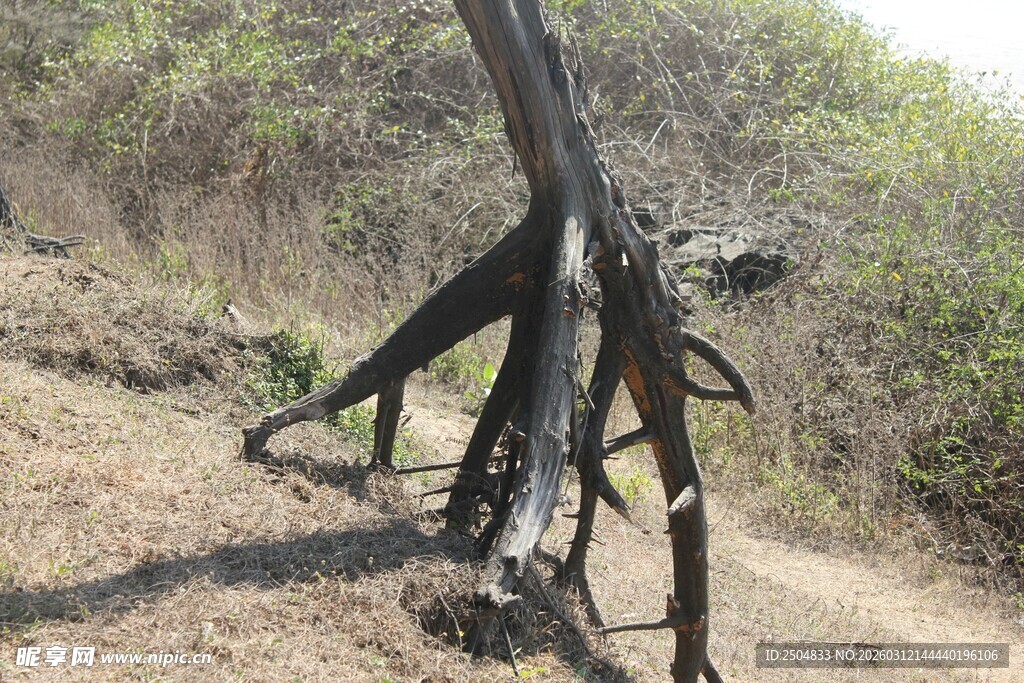 户外奇异造型金属雕塑