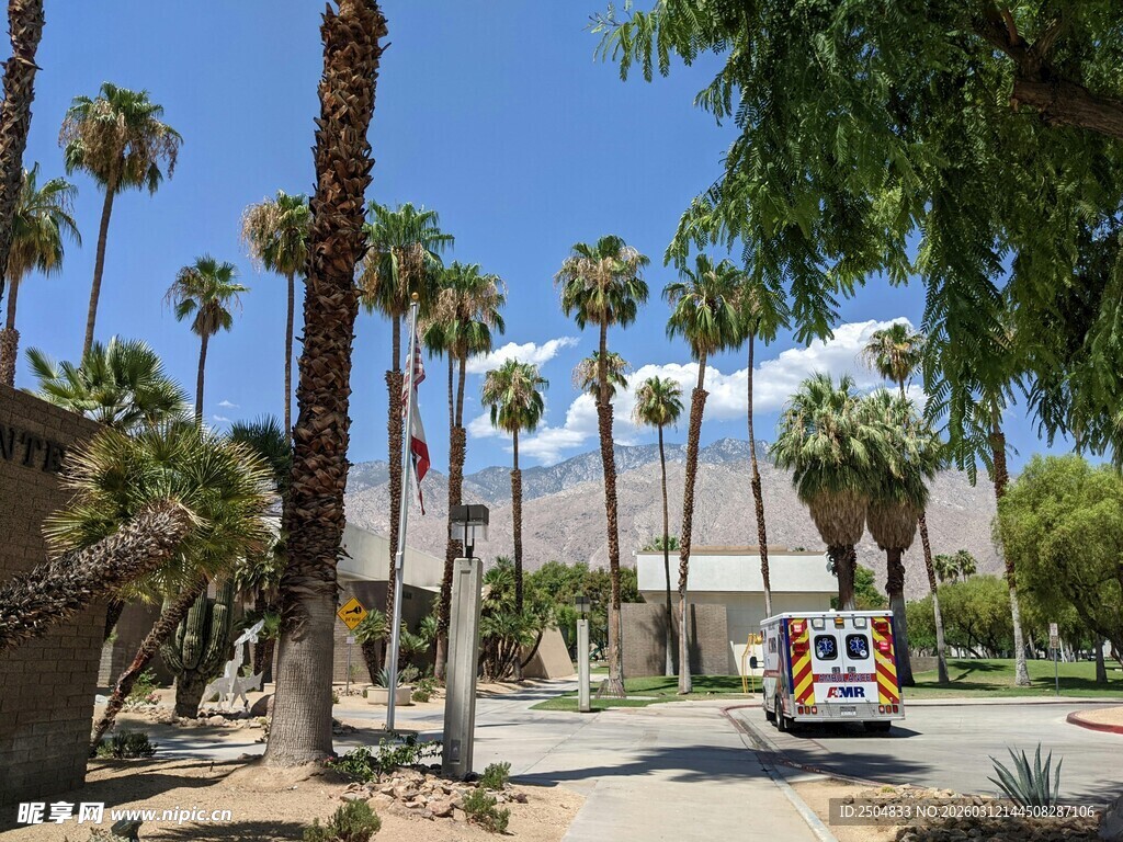 棕榈树环绕的户外景致