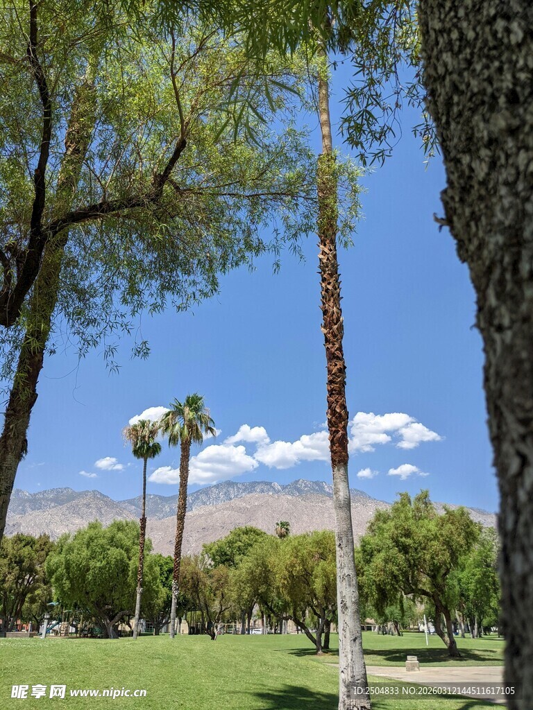 公园绿树蓝天美景