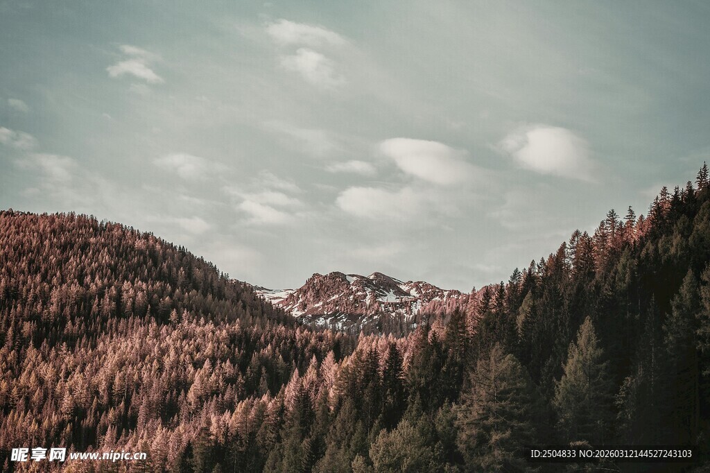 山林美景 秋色浸染的自然