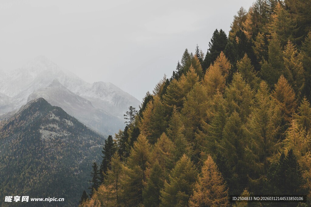 山林秋景 云雾缭绕的山峦