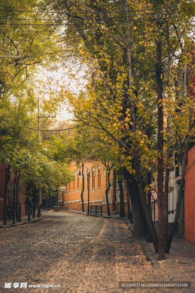 秋日林荫小道美景