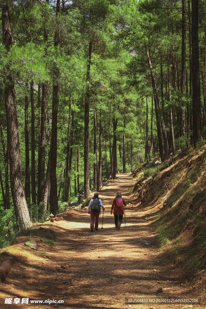 林间小径上的徒步者