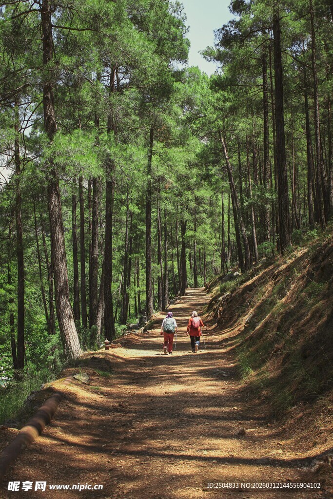 林间漫步小径 悠然自得