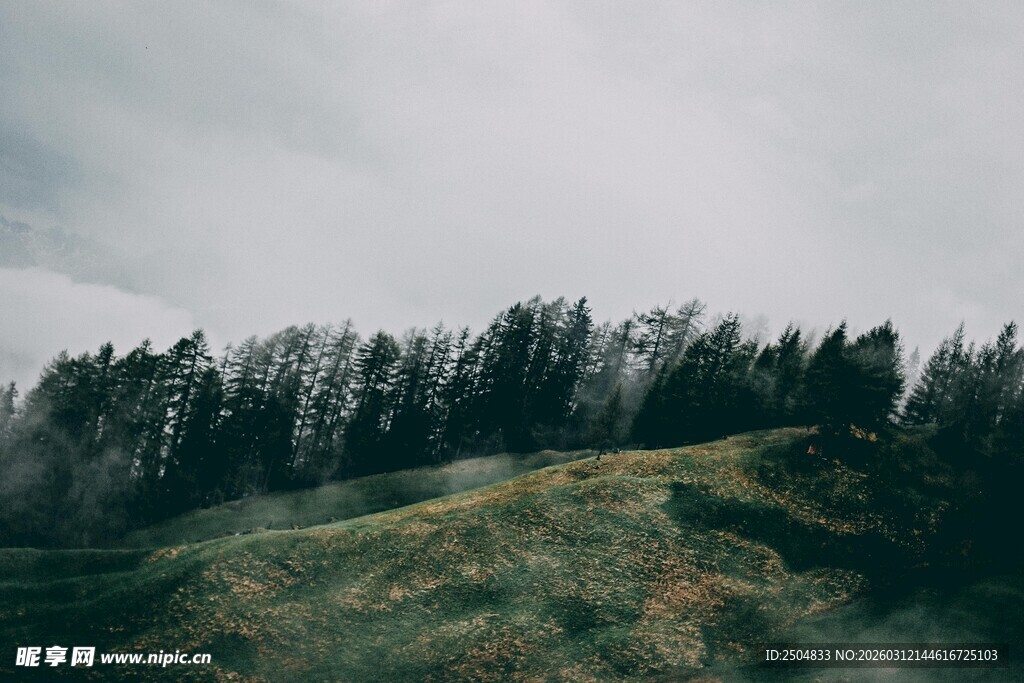 雾中葱郁山林景色
