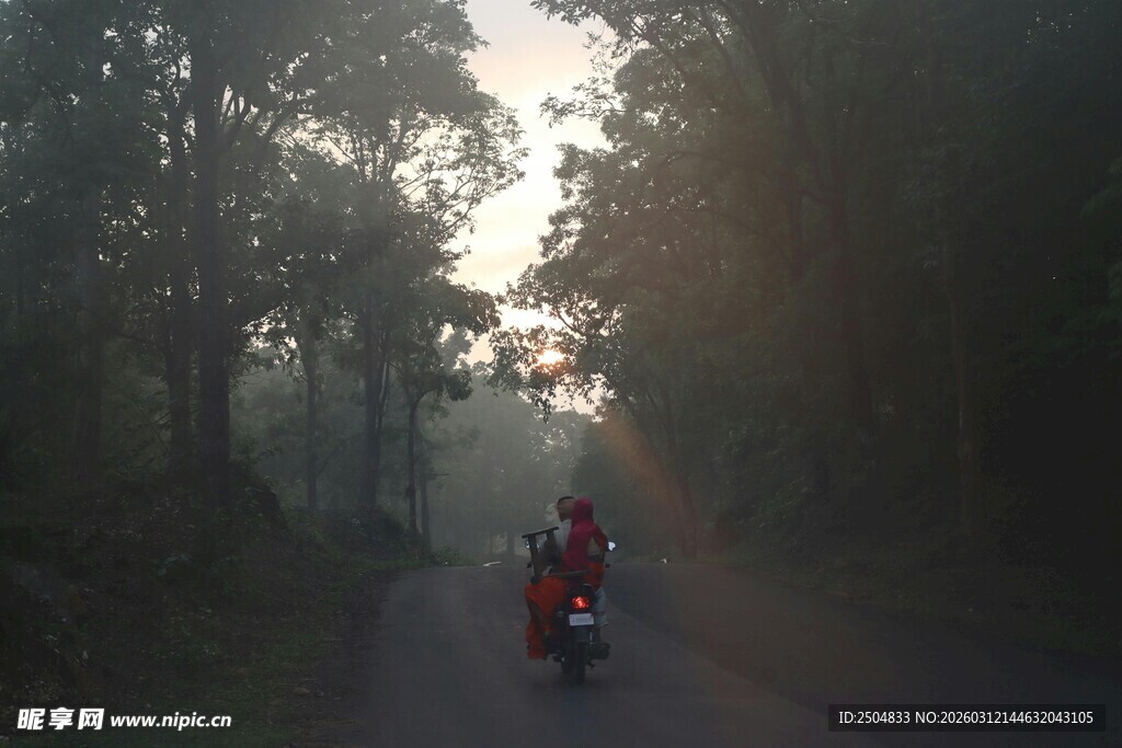 晨雾中骑行于林间小道