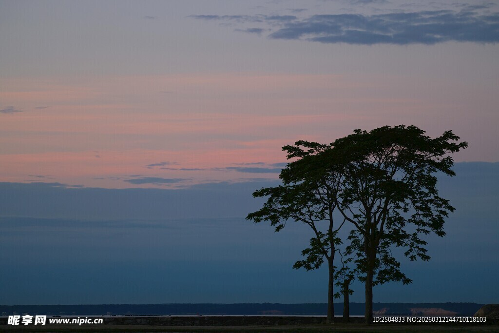 黄昏孤树映天边