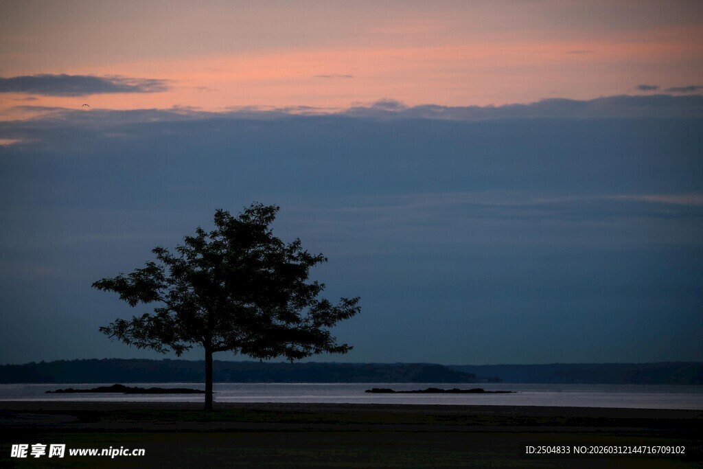 黄昏孤树 静谧湖畔美景