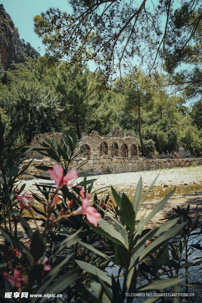 花园中的古老石墙景观