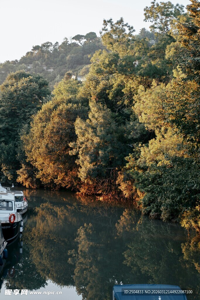 河畔船只与葱郁树林景观