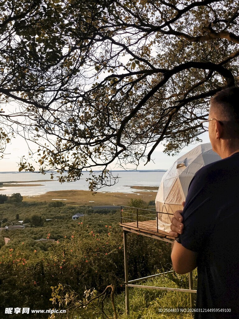 男子林间眺望开阔风景