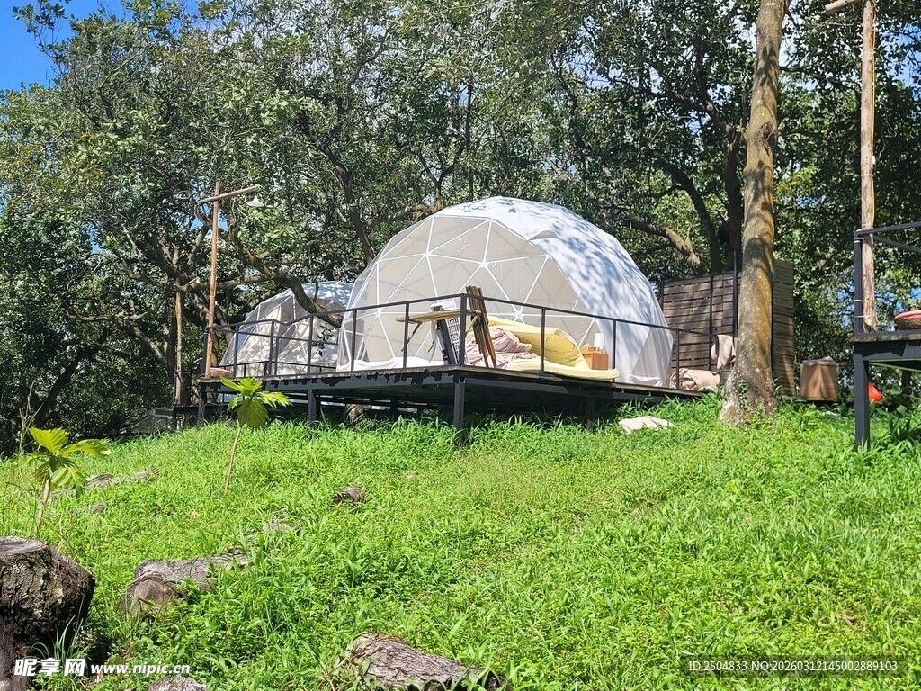 森林中的透明圆 度假小屋