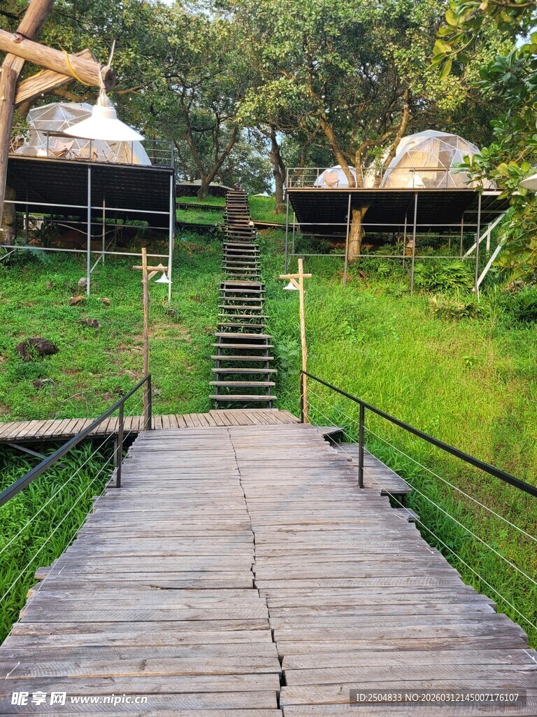 林间木栈道通往特色小屋