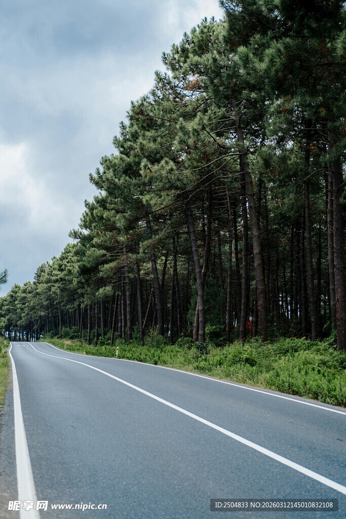 林间公路 静谧前行之路