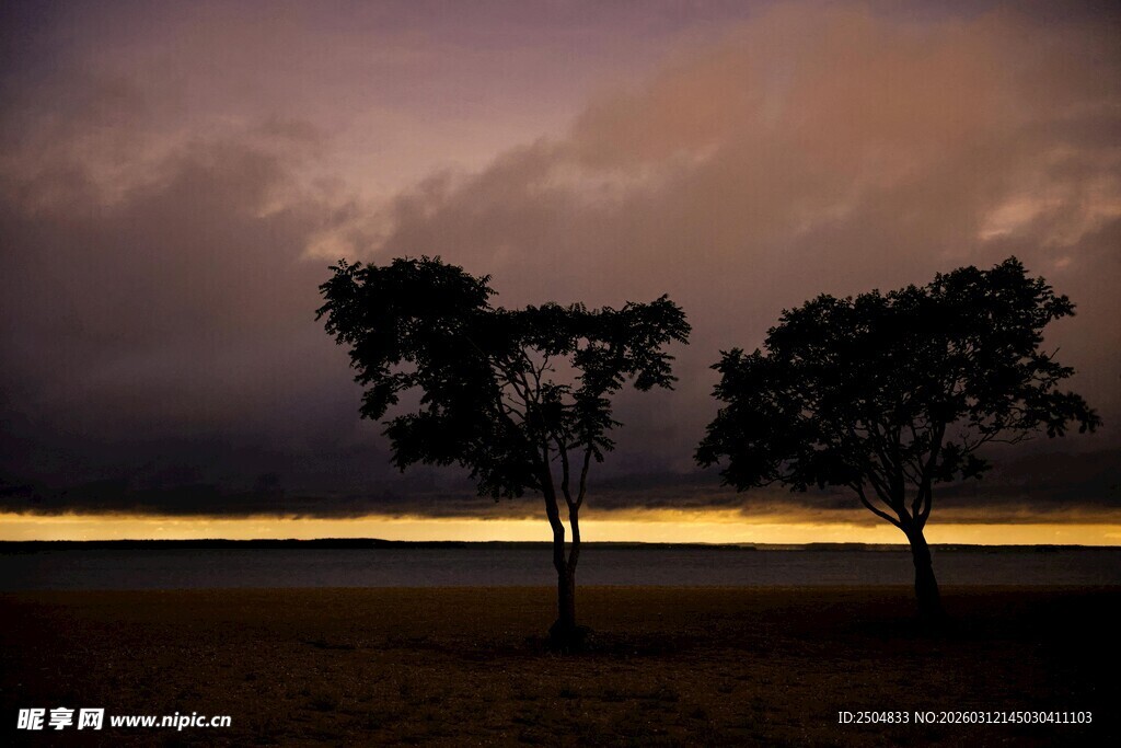 黄昏旷野中的两棵孤树