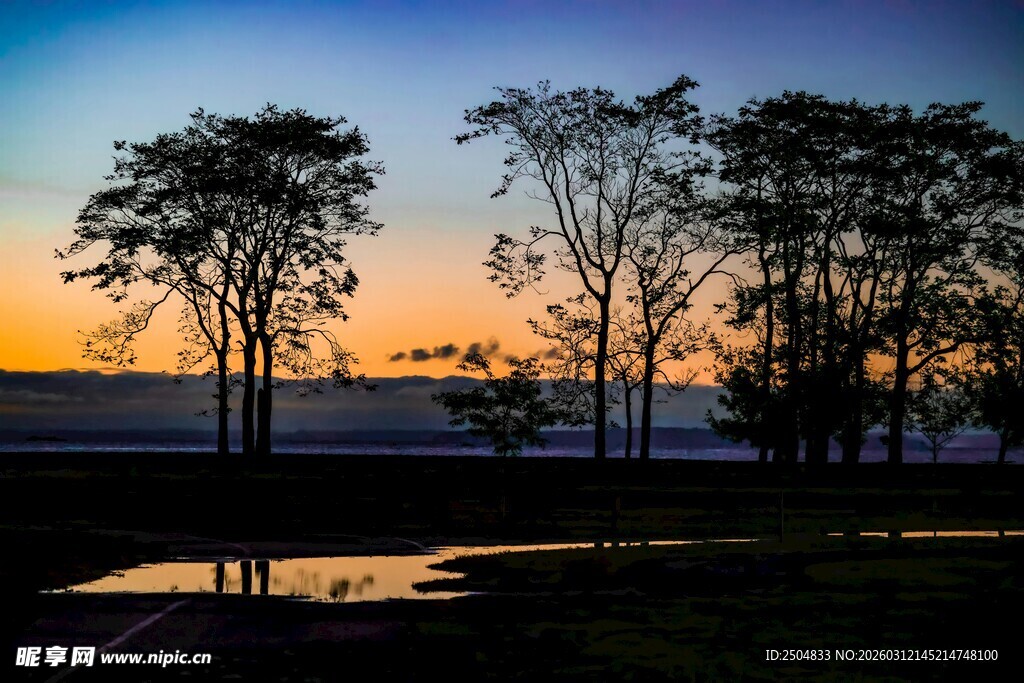湖畔黄昏树影美景