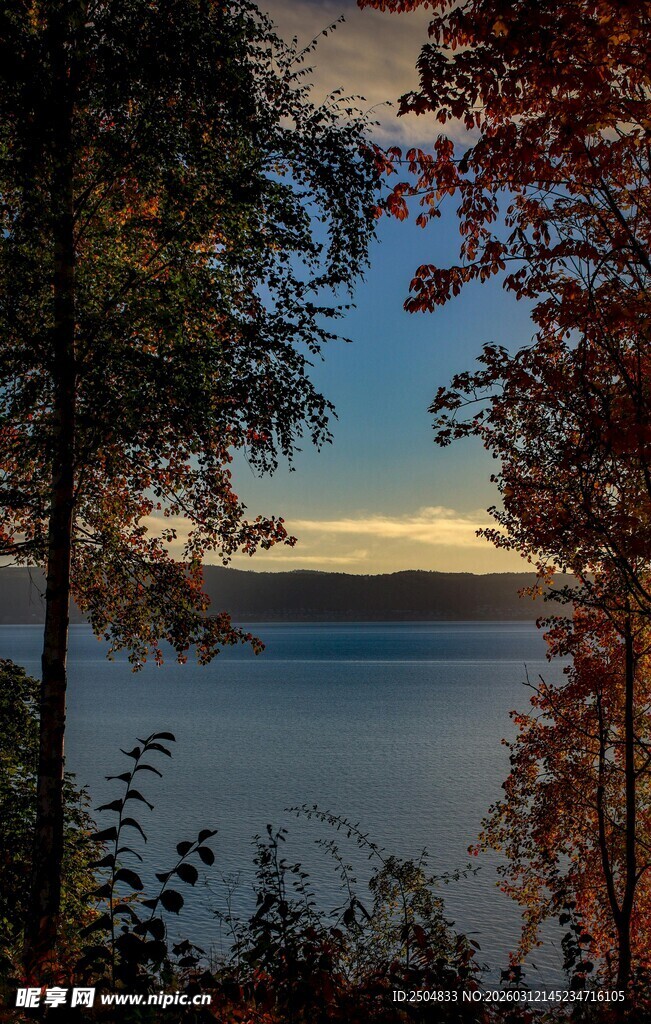 湖畔秋景 树木映于湖水间