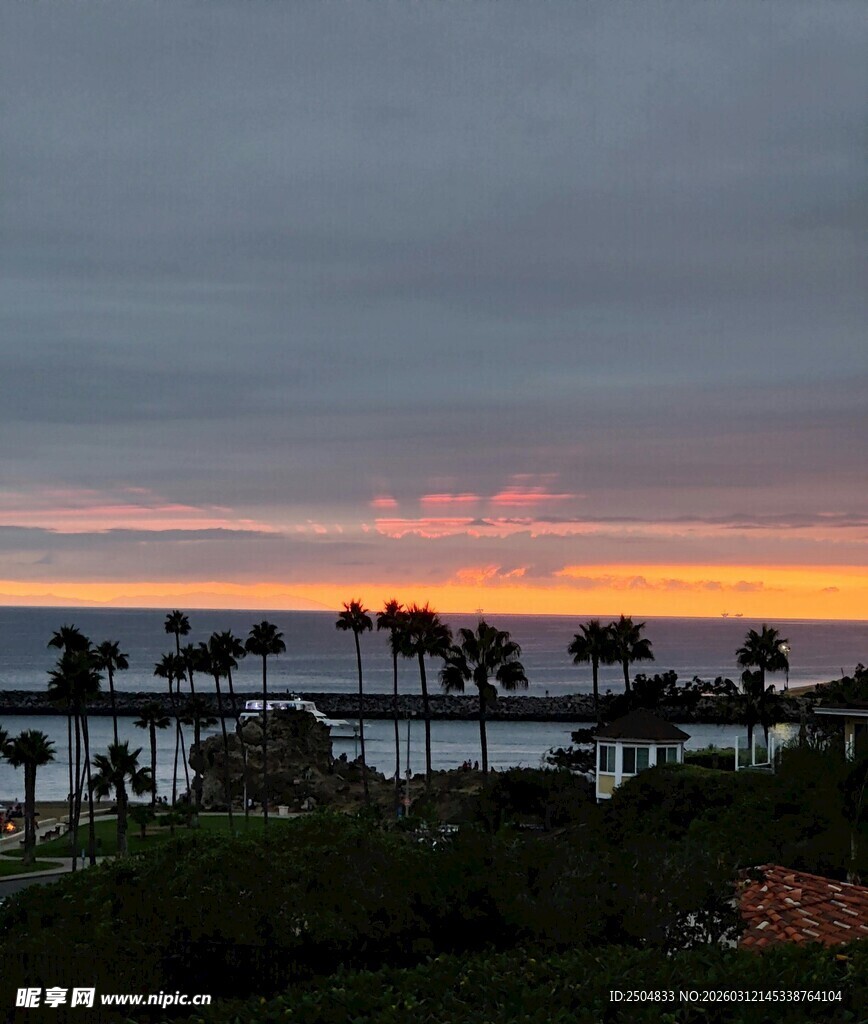 海边日落时的棕榈树美景