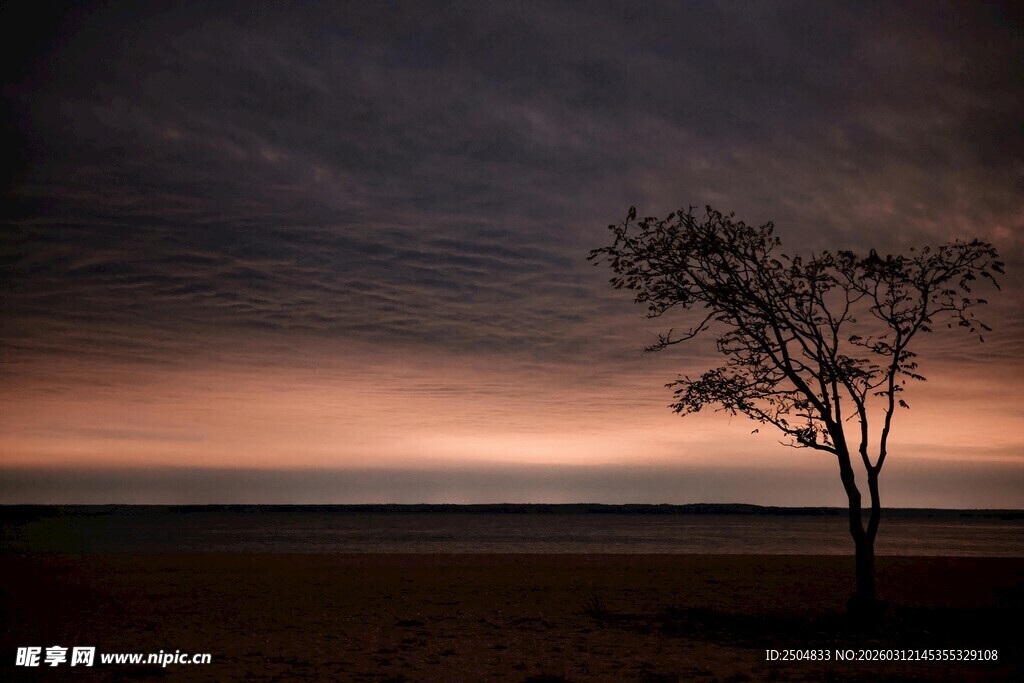 黄昏孤树 天地静谧之景